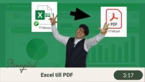 Gör Excelarket till PDF