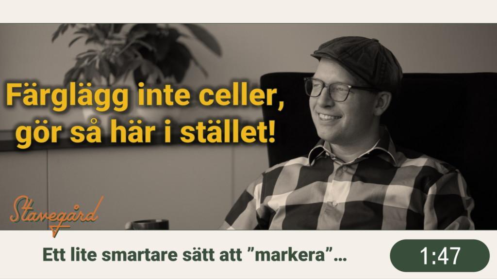 Färglägg inte cellerna! | Föreläsare och Excel-expert | David Stavegård