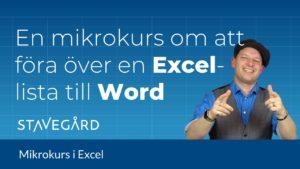 mikrokurs excel till word